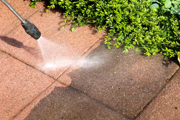 Best Deck Cleaning Services  in West Wendover, NV